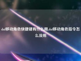 dnf移动角色快捷键有什么用,dnf移动角色指令怎么没用