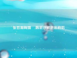张哲瀚鞠婧祎,韩芸汐被赶出府后