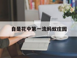 自是花中第一流蚂蚁庄园- 庄园小课堂自是花中第一流