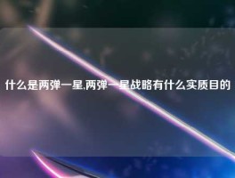什么是两弹一星,两弹一星战略有什么实质目的
