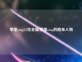 拳皇wing1.2完全版,拳皇wing的隐身人物