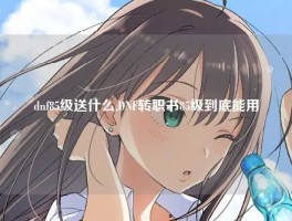 dnf85级送什么,DNF转职书85级到底能用