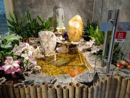阴阳师水池- 阴阳师水池荷叶是什么妖怪