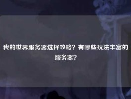 我的世界服务器选择攻略？有哪些玩法丰富的服务器？