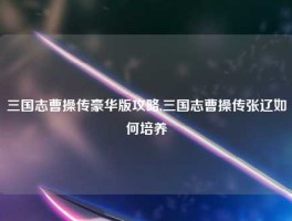三国志曹操传豪华版攻略,三国志曹操传张辽如何培养