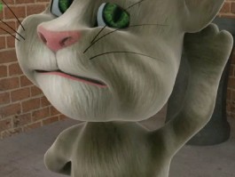 会说话的汤姆猫安卓- 会说话的汤姆猫安卓版手机乐园