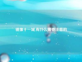 镜像十一城,有什么需要注意的
