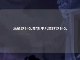 乌龟吃什么食物,王八喜欢吃什么