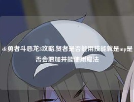 sfc勇者斗恶龙3攻略,贤者是否能用技能就是mp是否会增加并能使用魔法