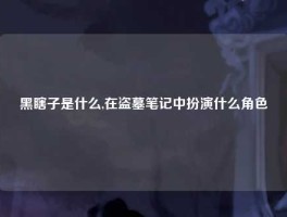 黑瞎子是什么,在盗墓笔记中扮演什么角色