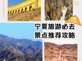 我的宁夏app- 我的宁夏app最新版本下载