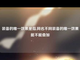 装备的唯一效果是指,同名不同装备的唯一效果能不能叠加