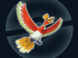 信使鸟- 信使鸟进化顺序图