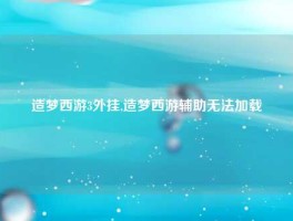 造梦西游3外挂,造梦西游辅助无法加载