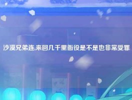 沙漠兄弟连,来回几千里衙役是不是也非常受罪