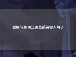 聪明节,你听过哪些搞笑雷人句子
