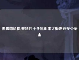 黑猪肉价格,养殖四十头黑山羊大概需要多少资金