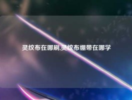 灵纹布在哪刷,灵纹布绷带在哪学