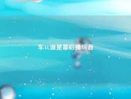 车44,谁是幕后操纵者