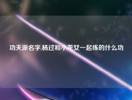 功夫派名字,杨过和小龙女一起练的什么功