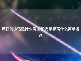 疯狂的小鸟是什么玩法,没有鼠标玩什么简单游戏