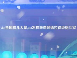 dnf全国格斗大赛,dnf怎样获得阿德拉初级格斗家