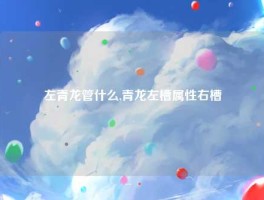 左青龙管什么,青龙左槽属性右槽
