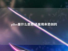 pillow是什么意思,还是用来垫别的
