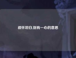 襟怀坦白,别有一心的意思