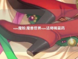 wow魔粉,魔兽世界wow法师喝蓝药