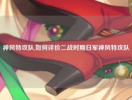 神风特攻队,如何评价二战时期日军神风特攻队