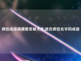 微信成语猜猜看答案大全,适合微信名字的成语