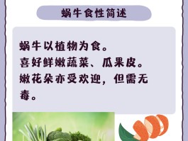 关于旅行青蛙蜗牛吃什么的信息
