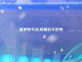 噩梦牧牛杖,柯基好不好养