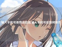 输入手机号查物流信息,输入手机号后如何操作