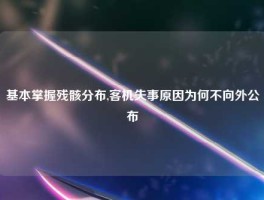 基本掌握残骸分布,客机失事原因为何不向外公布