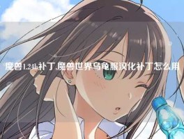 魔兽1.24b补丁,魔兽世界乌龟服汉化补丁怎么用