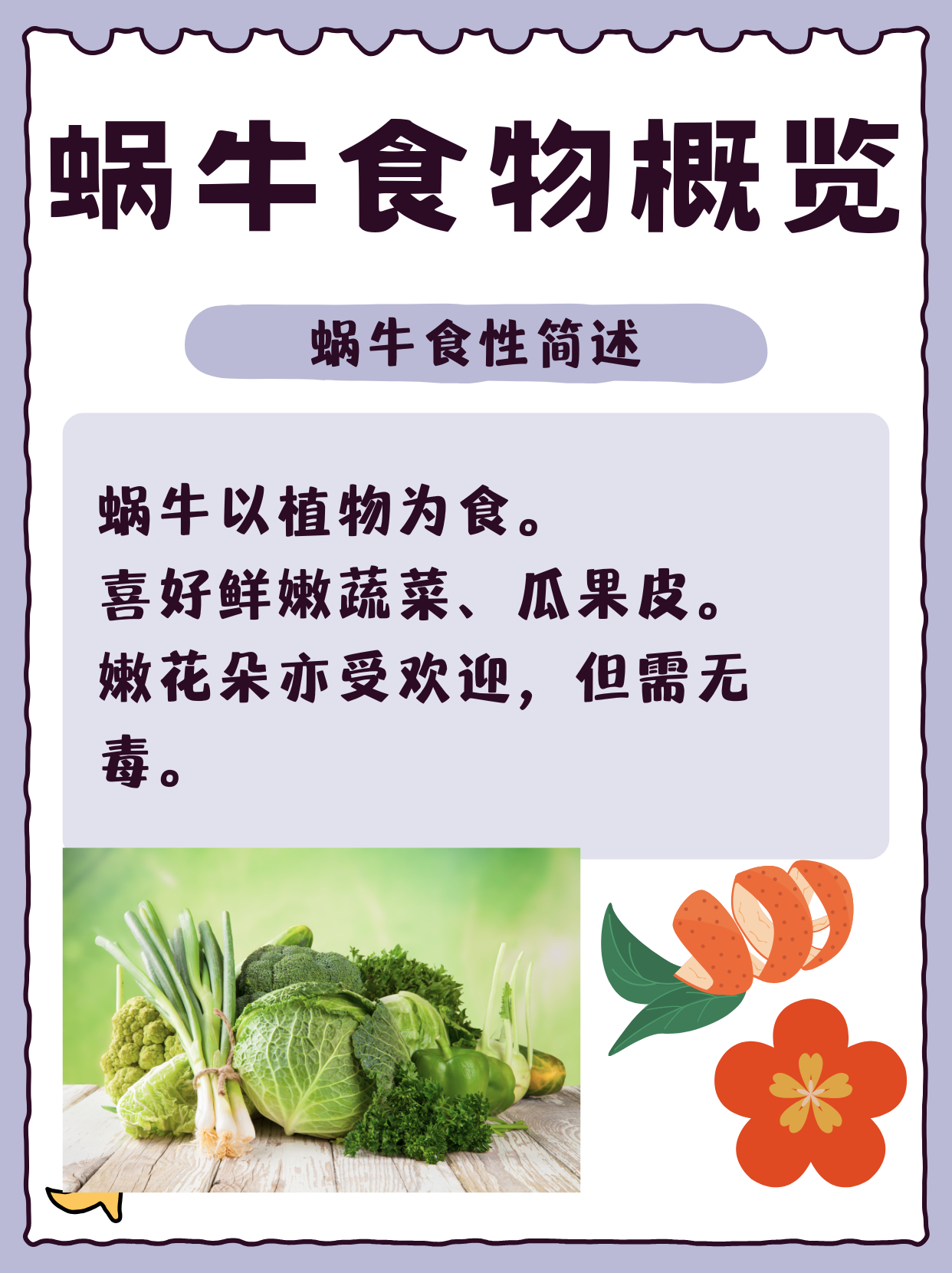 关于旅行青蛙蜗牛吃什么的信息 关于旅行青蛙蜗牛吃什么的信息