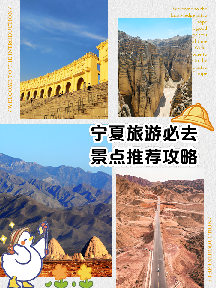 我的宁夏app- 我的宁夏app最新版本下载 我的宁夏app- 我的宁夏app最新版本下载