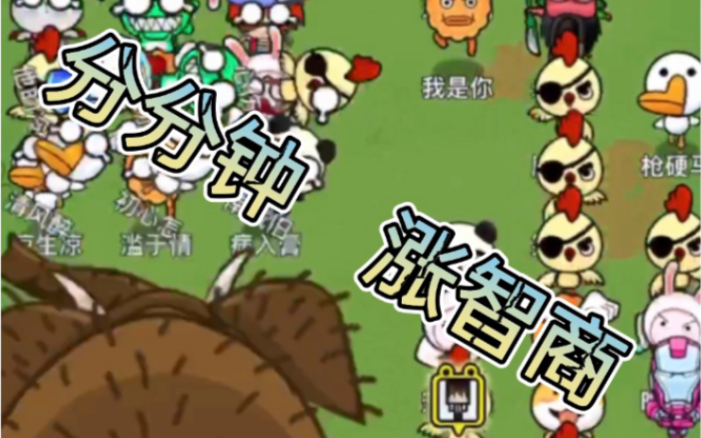 头脑吃鸡- 头脑吃鸡是什么游戏 头脑吃鸡- 头脑吃鸡是什么游戏