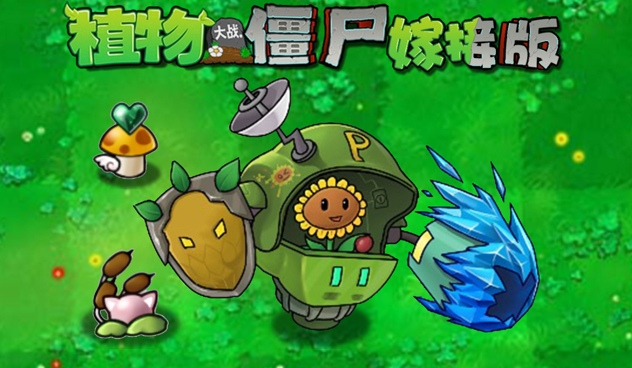 植物大战僵尸2011版- 植物大战僵尸2008年版 植物大战僵尸2011版- 植物大战僵尸2008年版