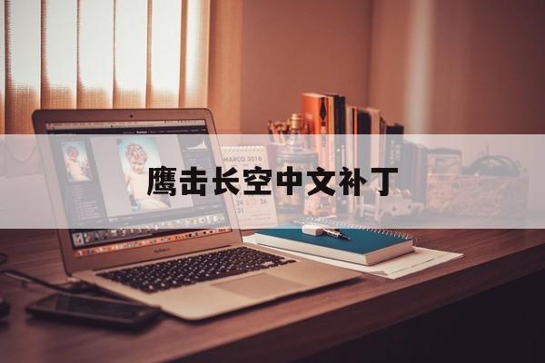 鹰击长空中文补丁- 鹰击长空 steam 鹰击长空中文补丁- 鹰击长空 steam